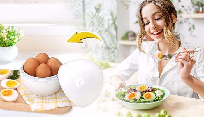 Eggfecto egg cooker review