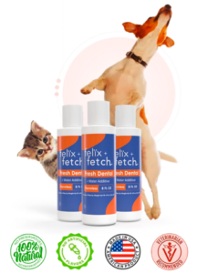 Felix+Fetch Dental Review