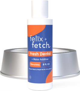 Felix+Fetch Dental Review