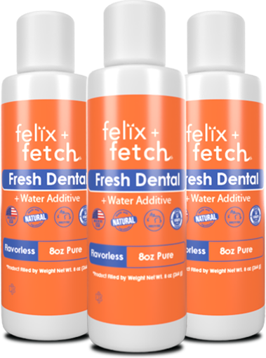 Felix+Fetch Dental Review